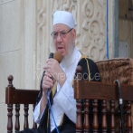 Ahmed el mahallawi